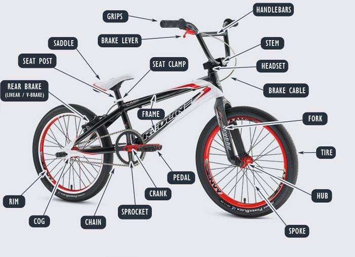 About BMX Bike