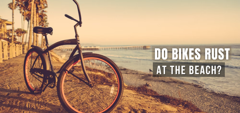 Do Bikes Rust At The Beach