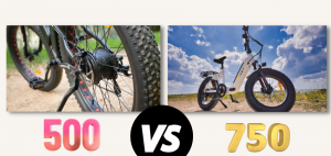 500 watt vs 750 watt Electric Bike